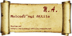 Molcsányi Attila névjegykártya