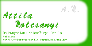 attila molcsanyi business card